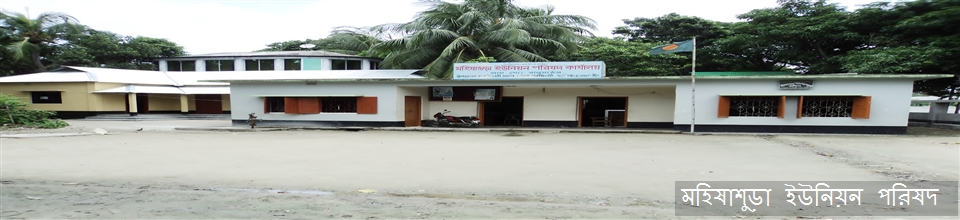 মহিষাশুড়া ইউনিয়ন পরিষদ